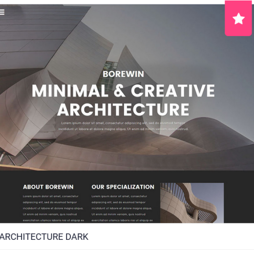 20 PAGE WEBSITE