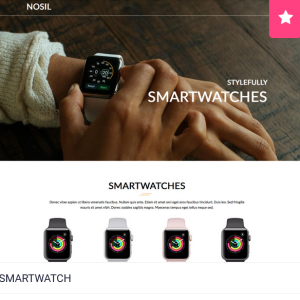 5 Page Website