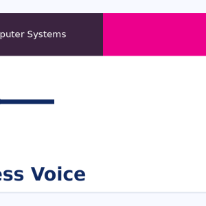 Business Voice Lines